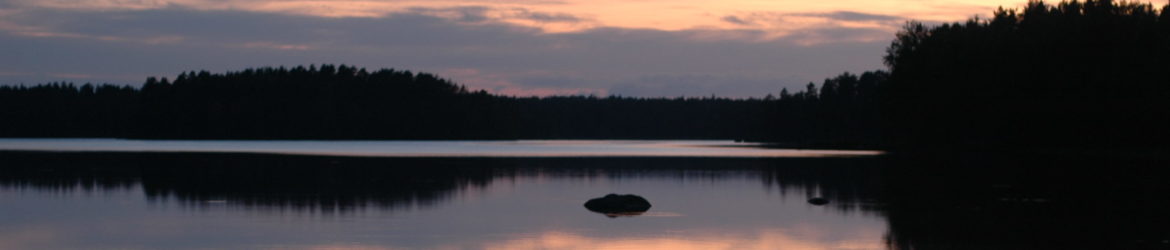 Venesjärven rantalava